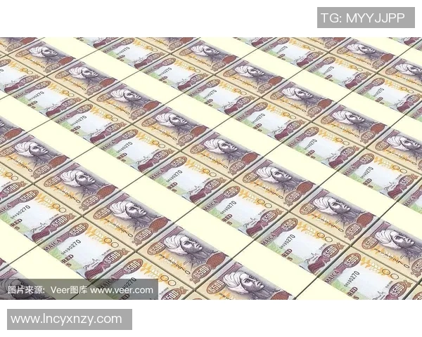 美金赛精彩对决美国队迎战牙买加队期待激烈碰撞与精彩表现